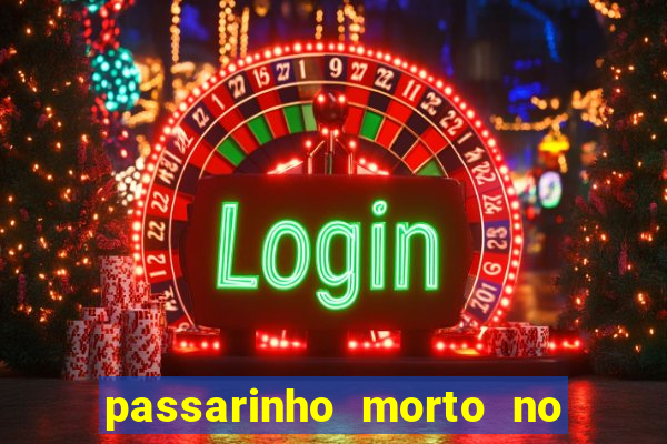 passarinho morto no quintal significado espiritual